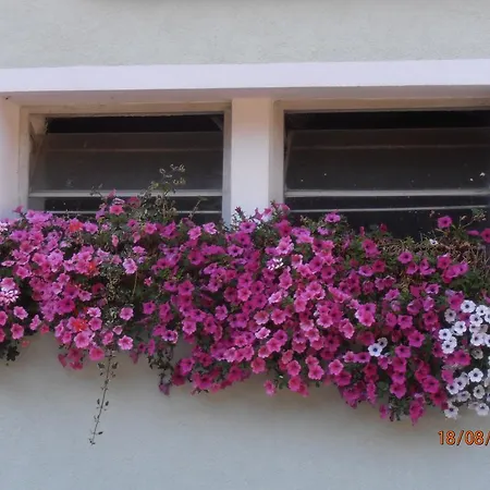 Farm stay Huberbauer Johnsbach